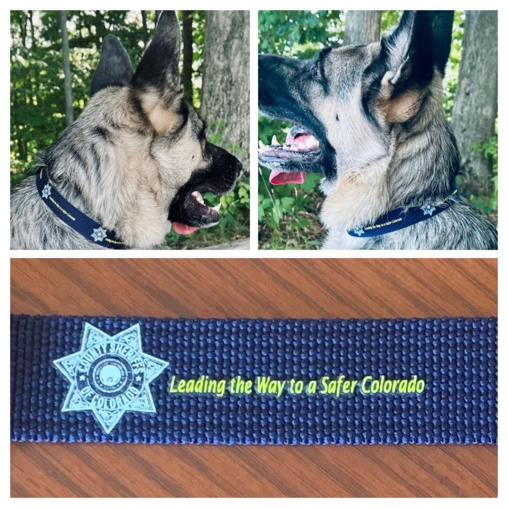 CSOC Dog Collar