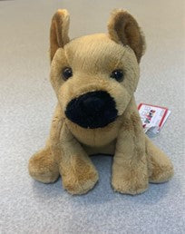 CSOC K9 Deputy Douglas